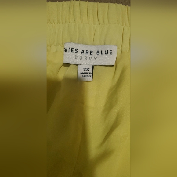 NWOT-Size 3X Shorts by Skies Are Blue - Picture 5 of 10